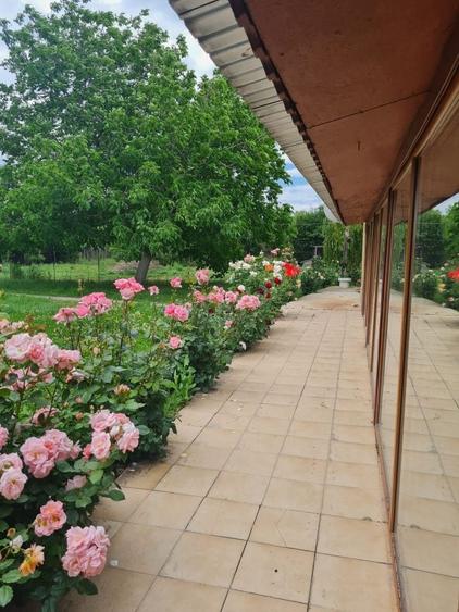 Casă cu 4 camere în Costești