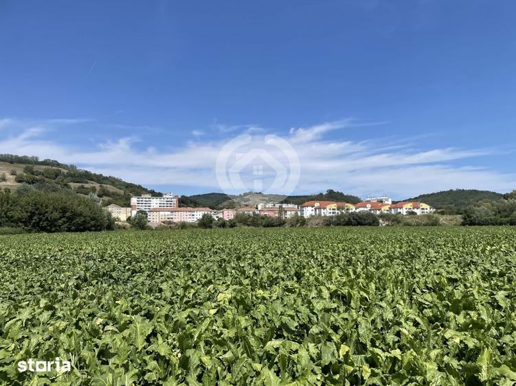 Teren de 13700 mp, în Central
