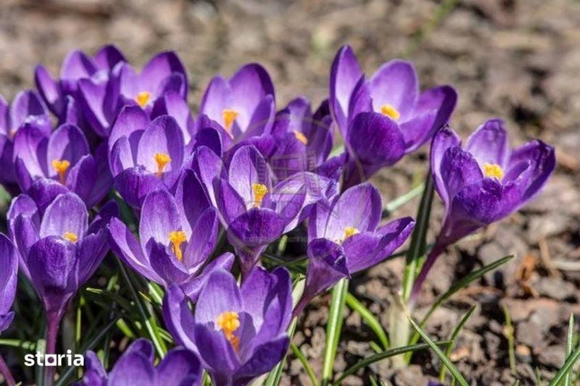 Apartament cu 3 camere în 1 Mai