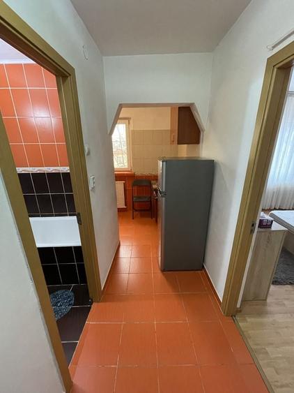 Garsoniera de inchiriat-Valea Rosie str Caracal - 2