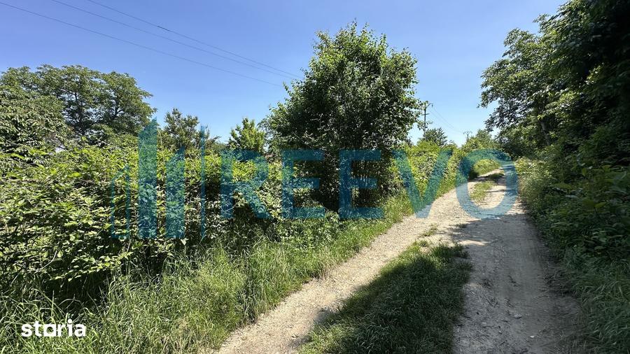 Teren de vanzare, Zona Ura, Bacau - 2