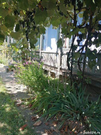 Teren în Răucești