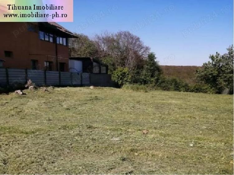 Teren Construcții intravilan de 1700 mp, în Cocoșești