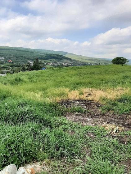Teren de 1600 mp, în Central
