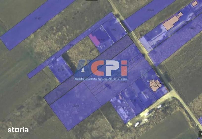 Teren intravilan de vanzare Cosoba,Giurgiu,40 min Bucuresti - 3