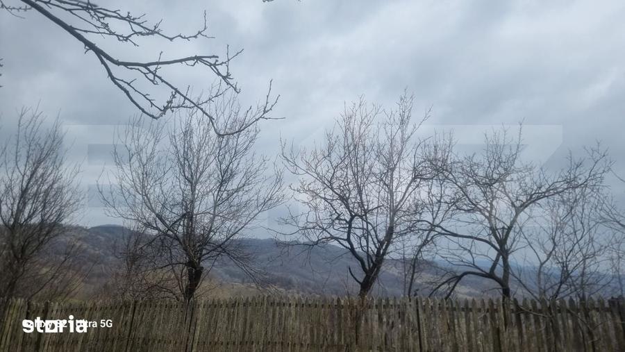 Teren de 3781 mp, în Izvoarele