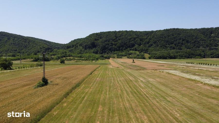 Teren de 5000 mp, în Măgureni