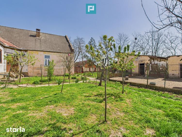 Casă cu 4 camere cu Teren 5942 Mp în Variaș