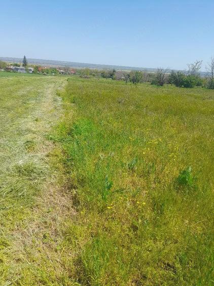 Teren de 1619 mp, în Foltești