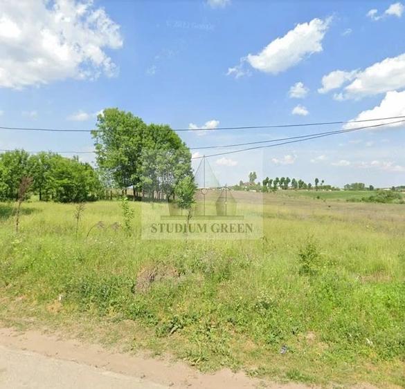 Teren de 12828 mp, în Cernica