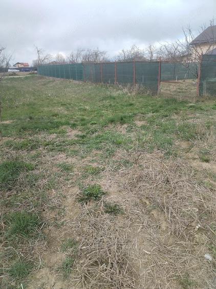Teren de 5500 mp, în Ruși-Ciutea