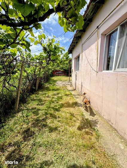 Casă cu 3 camere cu Teren 686 Mp în Central