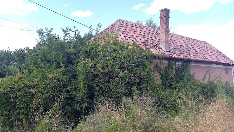 Casă cu Teren 709 Mp în Central