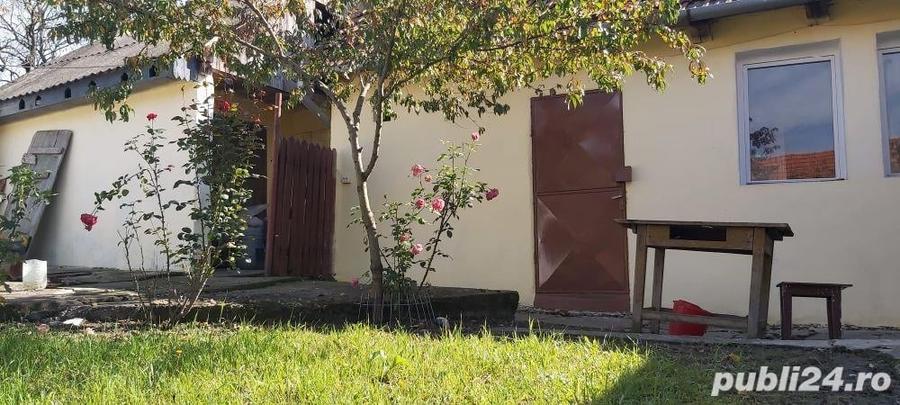 Casă cu 3 camere cu Teren 3052 Mp în Crivobara