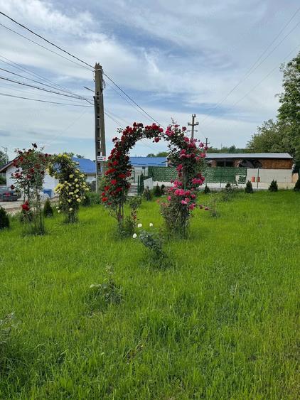 Spațiu comercial, de 8,700 mp, în Exterior Vest