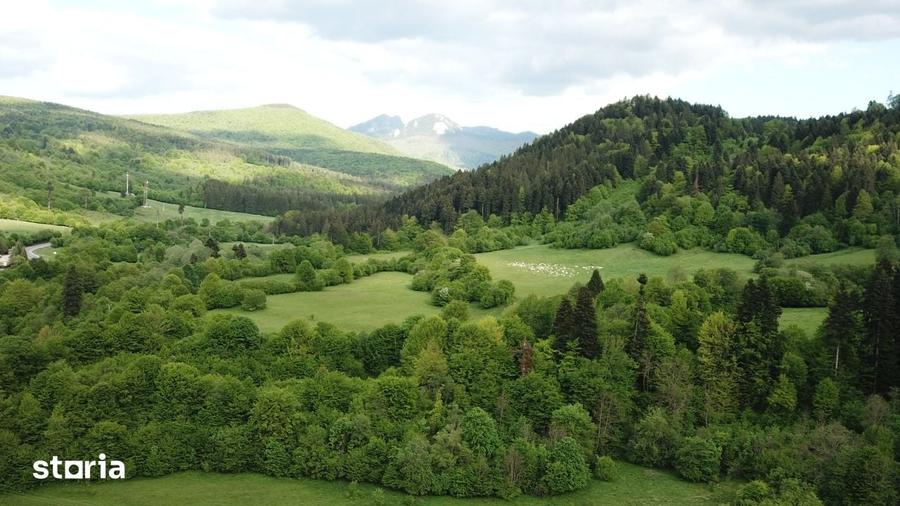 Teren intravilan de vanzare Sacele, zona Babarunca 4.000 mp - 2