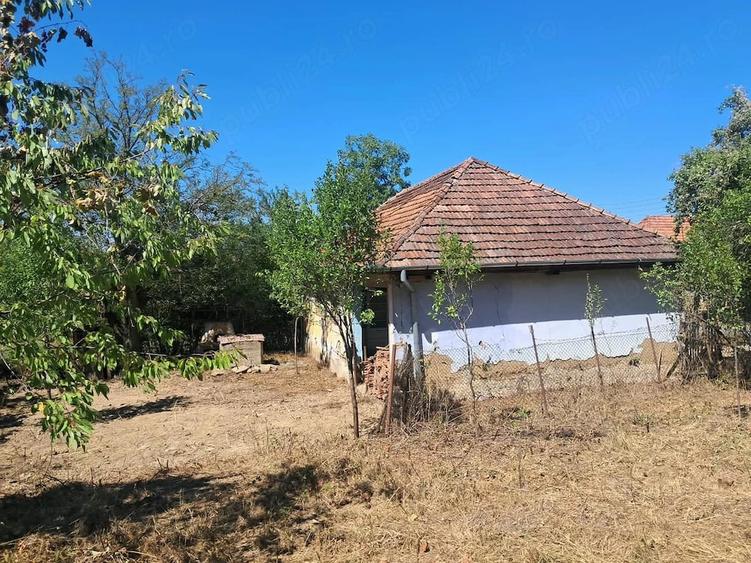 Teren de 5000 mp, în Drăgoteni