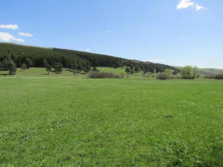 Teren de 4300 mp, în Valea Mare