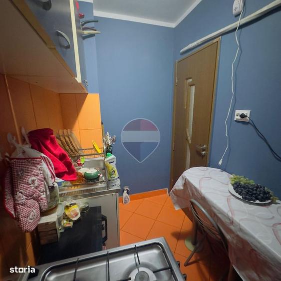 Garsonieră, mobilată în Brazda lui Novac