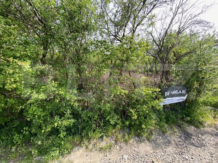 Teren agricol extravilan de 1527 mp, în Exterior Sud