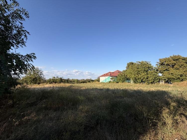 Teren de 5000 mp, în Leu