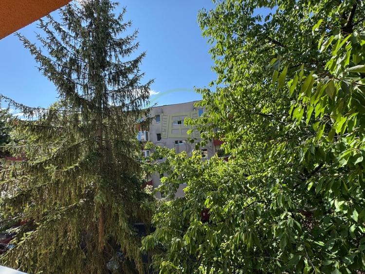 Apartament cu 3 camere decomandat, mobilat în Zorilor