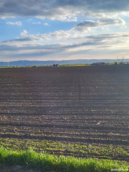 Teren de 5760 mp, în Letea Veche