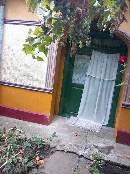 Casa batraneasca si teren de vanzare: Silistraru, Braila - 9