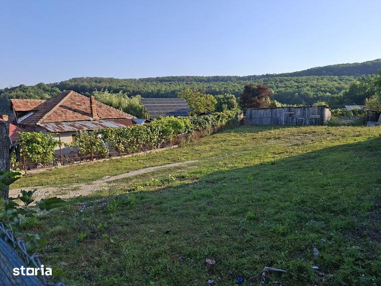 Teren de 650 mp, în Goranu