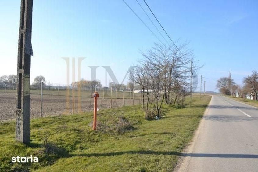 Teren de 5600 mp, în Sălcioara