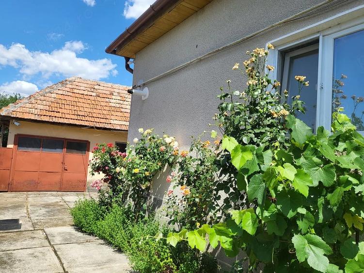 Casă cu 3 camere cu Teren 719 Mp în Central
