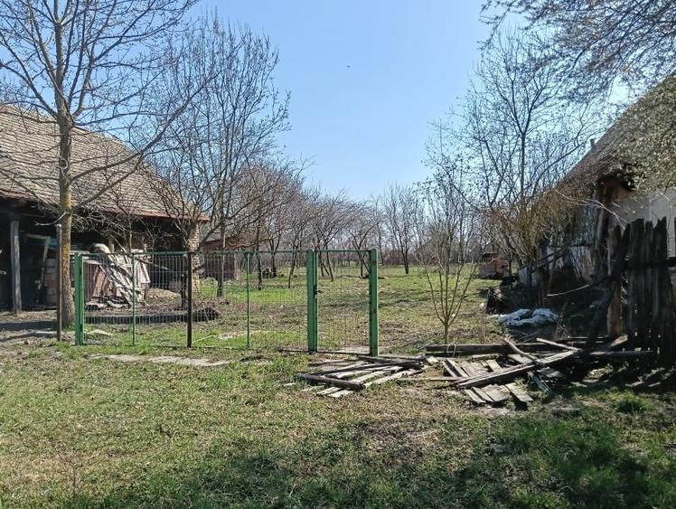 Casă individuală cu 2 camere cu Teren 2665 Mp în Șemlacu Mare