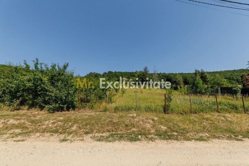 Teren Construcții intravilan de 1750 mp, în Ștefănești
