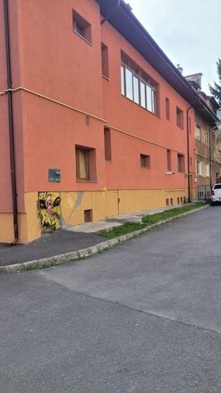 Spațiu comercial, de 500 mp, în Drumul Carului