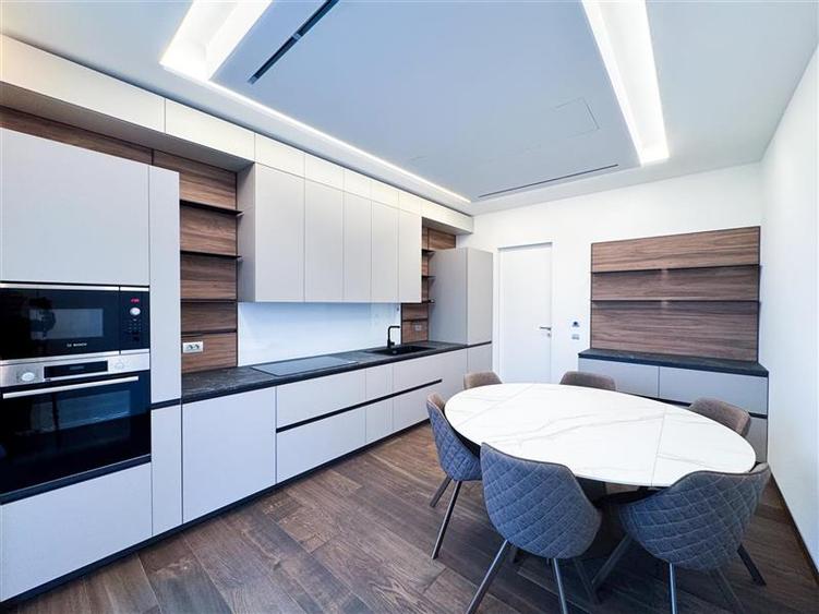 Apartament de inchiriat 5 camere Kiseleff - 10