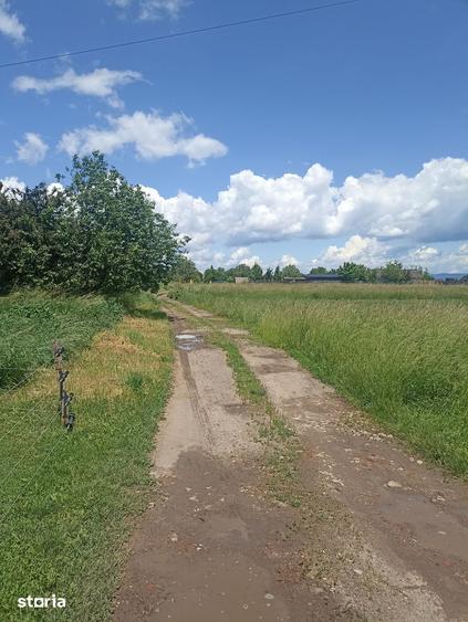 De vanzare teren extravilan in Sfantu Gheorghe - 2
