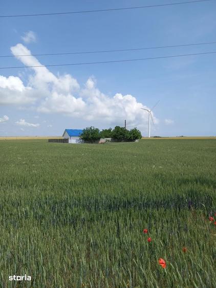 Casă cu 5 camere cu Teren 750 Mp în Corbu