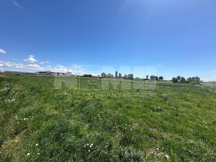 Teren Construcții intravilan de 2600 mp, în Horodnic de Sus
