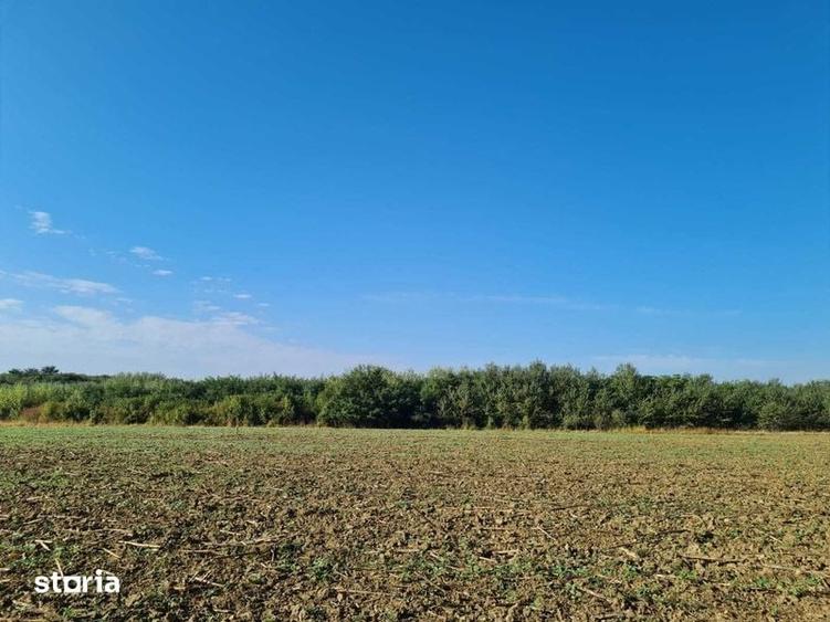 Teren de 1500 mp, în Domnești
