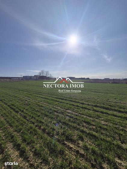 NECTORA IMOB-Teren Intravilan 537 mp, Zona Solay, 250 m de asfalt - 1