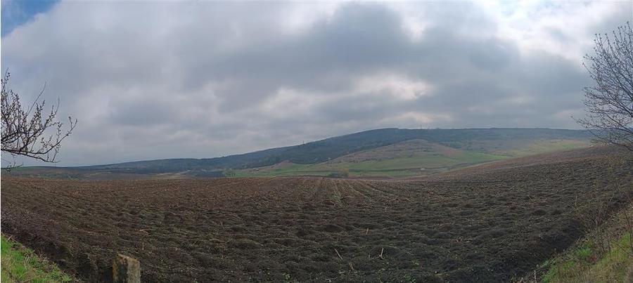 Teren Construcții intravilan de 46000 mp, în Dorobanț