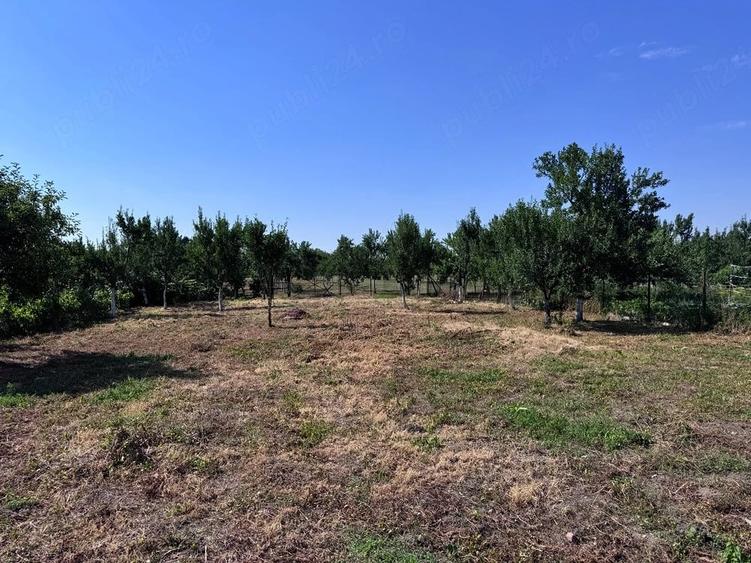 Casă cu 2 camere cu Teren 3400 Mp în Central