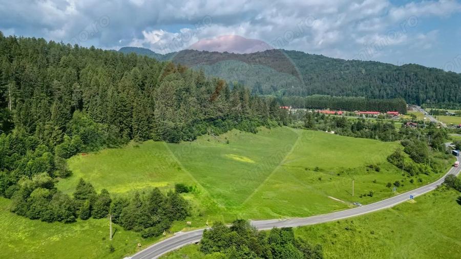 Teren de 10000 mp, în Brădet