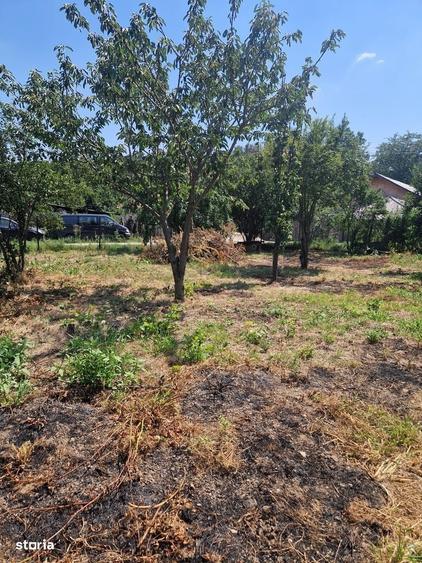 Casă cu 2 camere în Comana