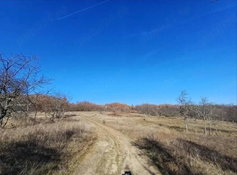 Teren de 10000 mp, în Valea