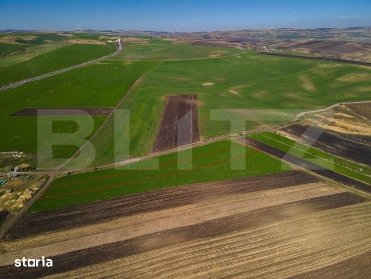 Teren de vanzare, 8.000 mp, zona Copaceni - 1