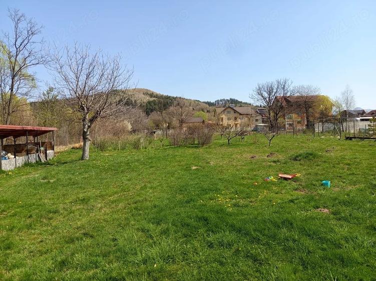 Casă cu Teren 3103 Mp în Central