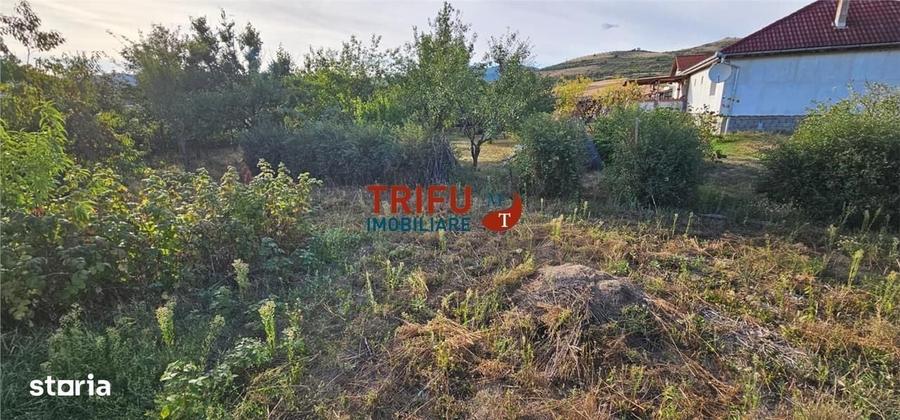 Spațiu comercial, în Ighiu