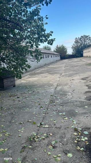 Teren de 5000 mp, în Central