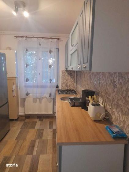 Apartament cu 2 camere decomandat, mobilat în Sub Arini